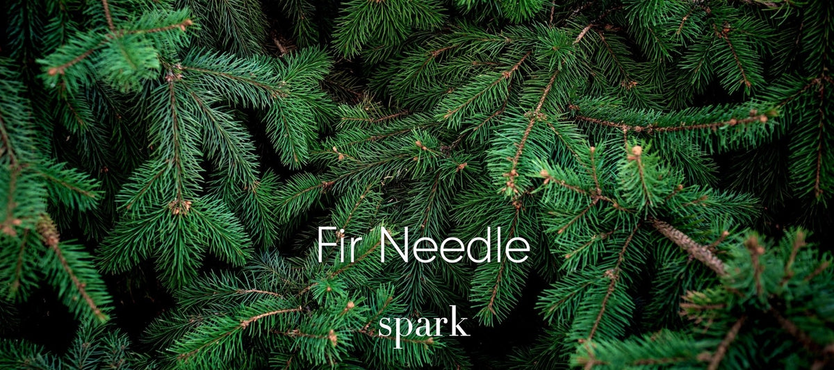 Fir Needle Pine Essential Oil Aromatherapy Scent Benefits Spark Soy Candles