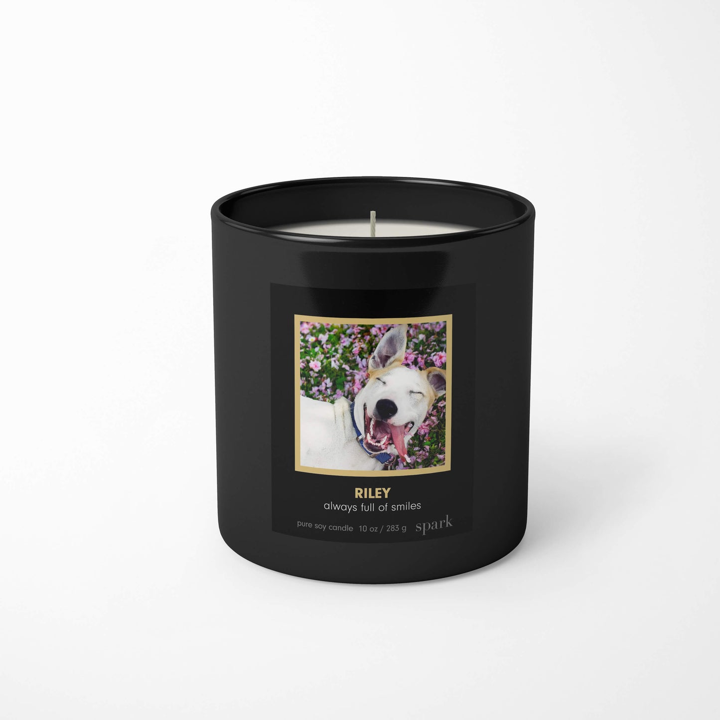 Custom Funny Photo Candles, Add Names or Hilarious Message and Choose Your Aromatherapy Scent Blend from Spark Candles