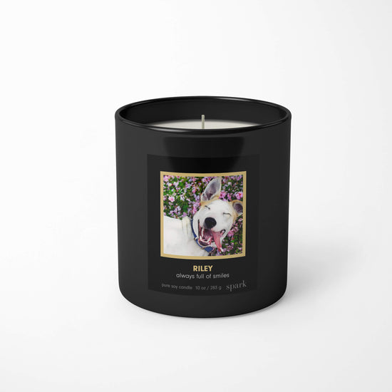 Custom Funny Photo Candles, Add Names or Hilarious Message and Choose Your Aromatherapy Scent Blend from Spark Candles