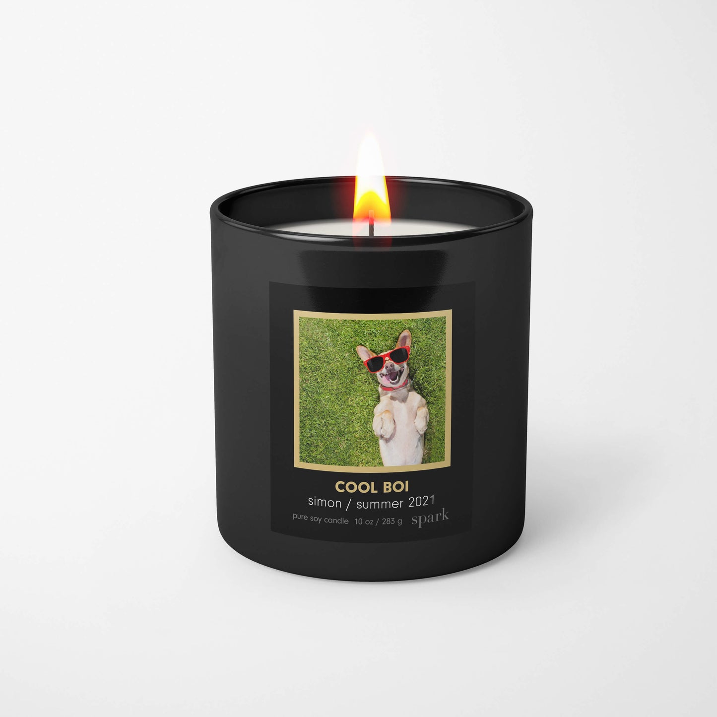 Custom Scented Funny Photo Candle with Doggy Picture in 10oz Matte Black Glass with Aromatherapy Scent