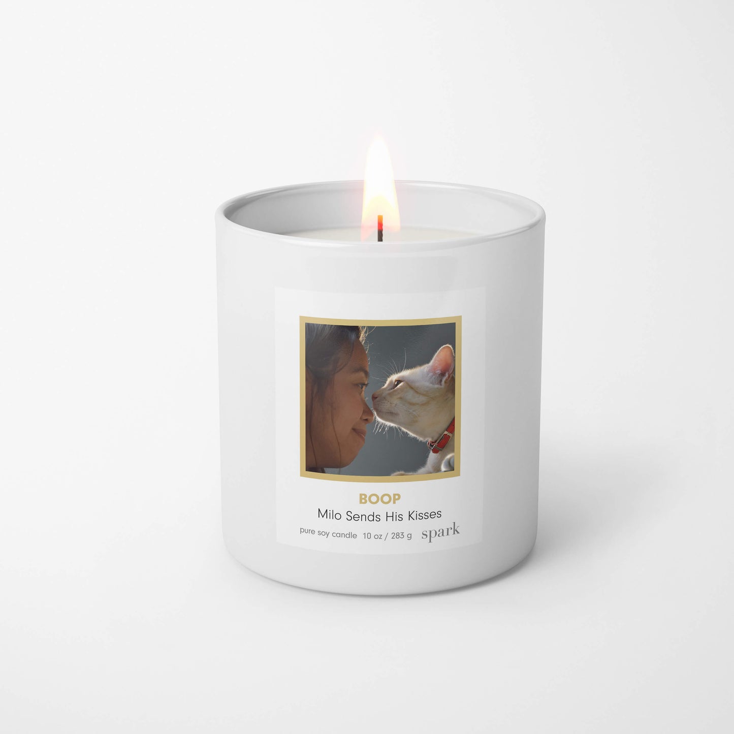 Custom Funny Photo Candle of Dog Picture in 10oz Matte White Glass with Aromatherapy Scent